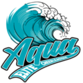 Aqua Elite Cheerleading